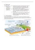 Unit 6 The Carbon Cycle and Energy Security