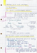 Samenvatting Methodologie (Bart Meuleman)