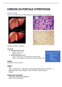 Samenvatting Abdomen 2 - Spijsvertering 2 - hepatologie