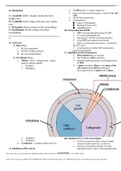 BIOLOGY_NMAT_2019_Rationale_Items_11_20__Metabolism__Cell_Cycle__Cell_Physiology__Genetics