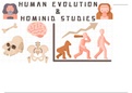 Human Evolution and Hominid Studies Study Presentation 