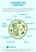 Cells, Organelles and Biomolecules