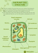 Plant Cells, Organelles and Photosynthesis