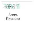 Biology HL IB Diploma Program - Topic 11: Animal Physiology