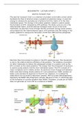 Electron transport chain - Biochemistry