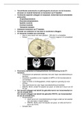 Radiologie leerdoelen periode 7