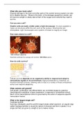 CELL at a glance