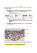 B5.2.1: Photosynthesis - OCR A Biology A level A* student notes