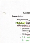 7.2 Transcription: DNA-Directed RNA Synthesis