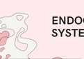 Anatomy of Endocrine System