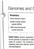 7.6 Genomes and Gene Organization