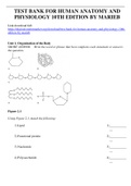TEST BANK FOR HUMAN ANATOMY AND PHYSIOLOGY 10TH EDITION BY MARIEB Unit 1&period; Organization of the Body