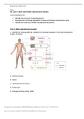 BIOS 256 Week 6 Case Study: Reproductive System (GRADED A)