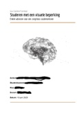 (2020) Verslag Cognitieve en Neuropsychologie - Leerjaar 1