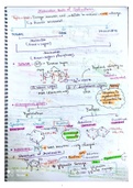 Class 12th-Handwritten notes-Chapter Molecular basis of inheritence