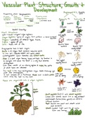 Vascular Plant structure, Growth and development