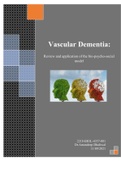 Vascular Dementia: The Biopsychosocial Model
