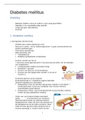 Samenvatting Verpleegkundige Methodiek en Vaardigheden (diabetes) 