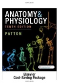 Anatomy and Physiology 10th Edition Patton Test Bank