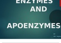 Enzymes: Lippincott Illustrated Reviews: Biochemistry