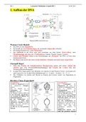 Lernzettel Molekulare Genetik Bio-LK 3 2022 Berlin 
