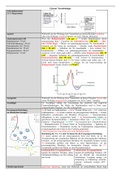 Glossar Neurophysiologie Bio-LK 1 