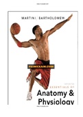 Essentials of Anatomy and Physiology 6th Edition Martini Test Bank ISBN:9780321792228 |Complete Guide A+