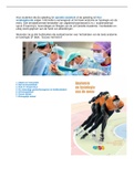 Samenvatting: Anatomie en Fysiologie(deel 2) voor operatieassistenten en verpleegkundigen