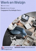 Samenvatting Werk & Welzijn - Toegepaste Psychologie
