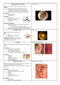 Pathologie van hoofd en hals