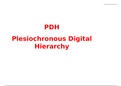 Plesiochronous digital hierarchy(telecom networks)