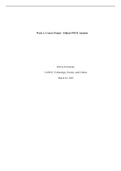 LAS 432 Week 2 Course Project&semi; Bitcoin Technology - Ethical SWOT Analysis