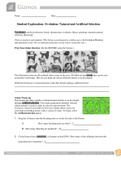 Document preview thumbnail
