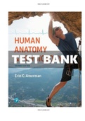 Human Anatomy and Physiology 2nd Edition Amerman Test Bank ISBN-13 ‏ : ‎9780134553511  |Complete Test bank|ALL CHAPTERS.