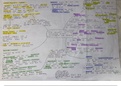 Mind Map Summary - AS/A Level Sociology - Acquiring Culture