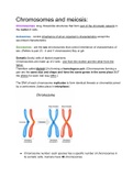 Grade 12 biology: Chromosomes and meiosis