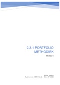 Social Work, 2.1.3 portfolio methodiek