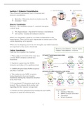 Cognitive Neuroimaging (BB081B) Summary of all lectures