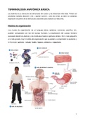 Tema 0 - Introducción a la anatomía humana