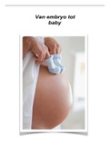 Profielwerkstuk van Embryo tot Baby Havo Biologie (Cijfer 8,7)