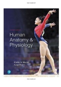 Human Anatomy and Physiology 11th Edition Marieb Test Bank  |Complete Guide A+| Instant download .