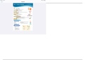 Nclex-Medsurg-Renal-Urinary-Note&period;pdf