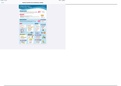 Nclex-Medsurg-Renal-Urinary-Note&period;pdf