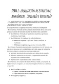 Tema 1 Localización de estructuras anatómicas. Citologías e histología 