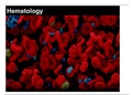 Self-Study-27-Hematology-Oncology-Rheumatology&period;pdf
