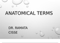 Anatomical-Terms-Chapter-1-Body-Regions-Ati-Teas&period;pptx