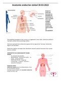 Samenvatting anatomie endocrien stelsel