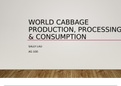 AG 100 - World Cabbage Production, Consumption, Processing Presentation