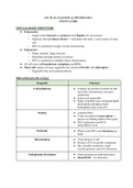 Ati-Teas-Anatomy-Physiology-Study-Guide.pdf