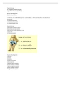 Anatomie Blok B - werk sport hobby
